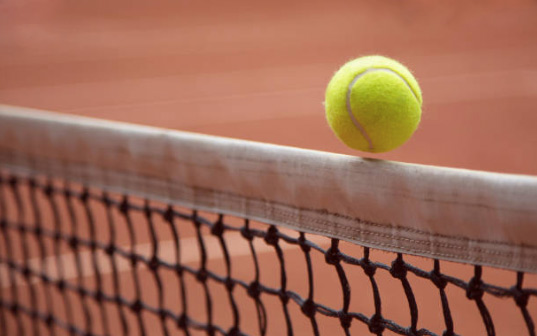 Pelota de tenis en la red - Patricia Ibáñez - Aprendízate